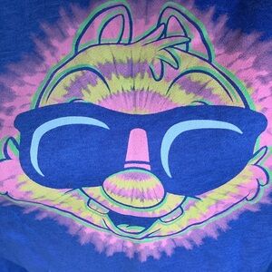 Disney Chipmunk Hoodie